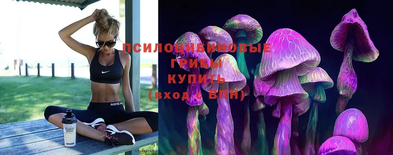 Галлюциногенные грибы MAGIC MUSHROOMS  где купить наркотик  hydra вход  Новоуральск 